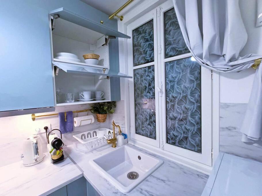 Au Petit Trianon Bleu Apartment แวร์ซาย ภายนอก รูปภาพ